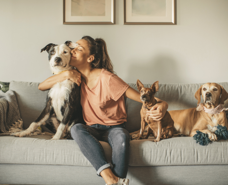 NJ Rental Laws on Pets: Your Rights on Pet Policies and Emotional Support Animals