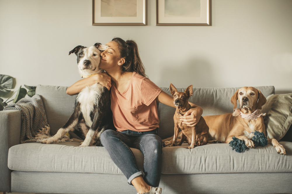 NJ Rental Laws on Pets: Your Rights on Pet Policies and Emotional Support Animals