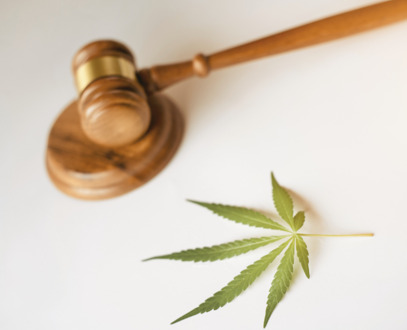 Marijuana Legalization on Rental Properties in NJ