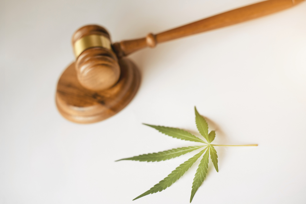 Marijuana Legalization on Rental Properties in NJ